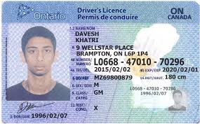 ontario fake driving licence